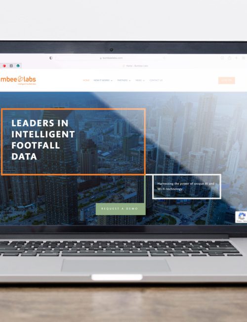 Website